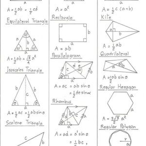 Meet your Posher, Rachid